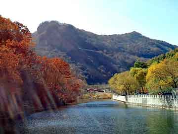 管家婆黑白马报图库，xiaodhuo